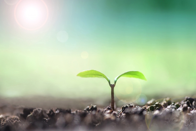 学習塾ゼロワン