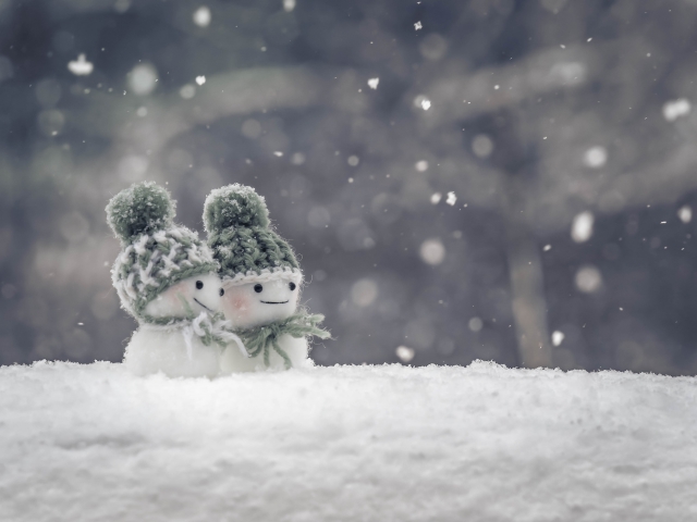 冬期講習-復習-受験